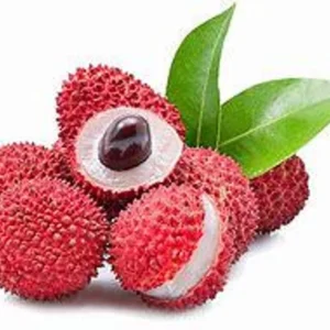 Lychee Tree Live Plant - 3 Feet Tall in 3 Gallon Pot - Ready for Your Garden - Not Ship CA