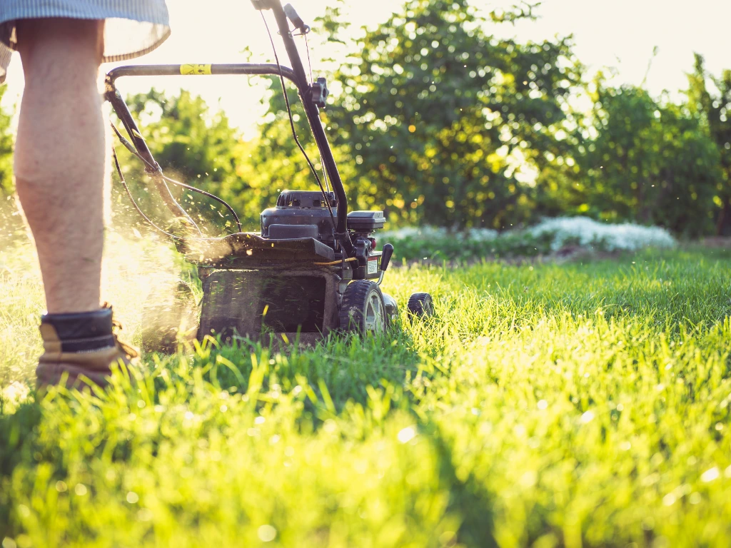 Mowing Your Lawn Properly