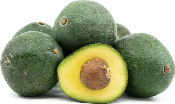 Nabal Avocado Tree - 1 ft Grafted Plant in Bag