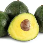Nabal Avocado Tree Grafted Fruit Tree 1 Feet Tall