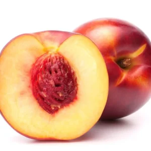 Nectarine Double Delight Tree - 3 ft Tall - Live Plant in 3 gal Pot