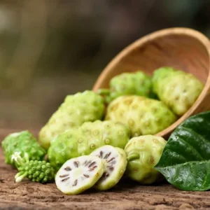 Noni Plant Live Plant - 1 to 2 ft Tall - in 3 Gal Pot
