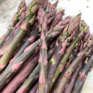 Pacific Purple Asparagus Crowns - 10 Organically Grown 2yr Plants
