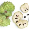 Pierce Cherimoya Tree - Grafted Live Plant - 3 to 4 Feet Tall - 3 Gal Pot