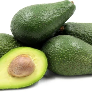 Pinkerton Avocado Tree - 1 ft Tall Grafted Tree Sapling