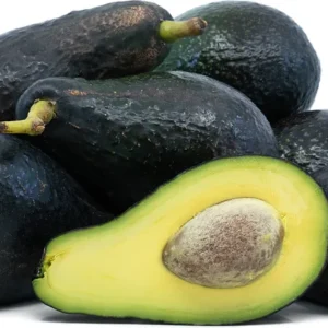 Pinkerton Avocado Tree - 1 ft Tall Grafted Tree Sapling