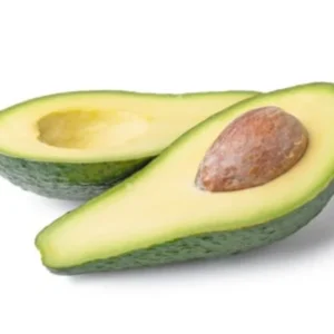 Pinkerton Avocado Tree - 1 ft Tall Grafted Tree Sapling