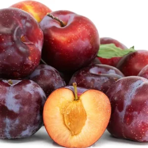 Plum Tree Mariposa - 3 Gallon 3 Feet Sweet Fruit Tree - Home Garden Ready - Not Ship CA