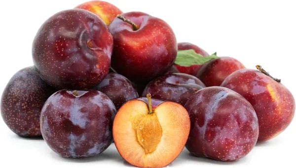 Plum Tree Mariposa - 3 Gallon 3 Feet Sweet Fruit Tree - Home Garden Ready - Not Ship CA