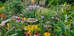 Pollinator-Friendly garden