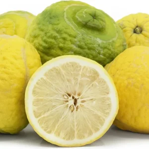 Ponderosa Lemon Tree 2 to 3 Feet Tall - Fresh Citrus Tree - Easy Care - Indoor/Outdoor - Not ship CA