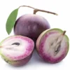 Purple Caimito Tree - 3 Gallon 3 Feet - Exotic Fruit Tree - Home Garden Ready - Not Ship CA