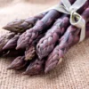 Purple Passion Asparagus Plants - 5 Crowns, 2 Year Old Roots, Garden Ready - Buy 4 Get 1 Free
