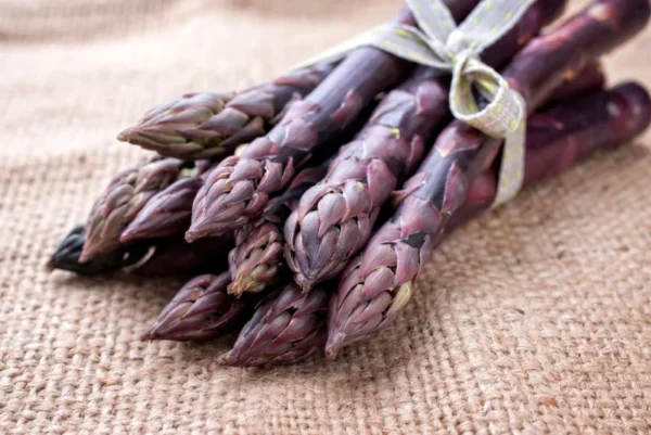 Purple Passion Asparagus Plants - 5 Crowns, 2 Year Old Roots, Garden Ready - Buy 4 Get 1 Free