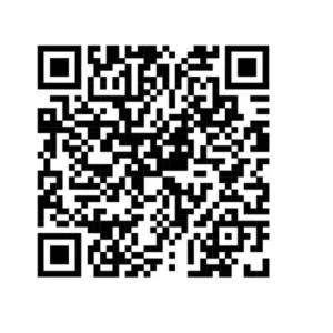 Ranunculus White Shade Bulbs - 10 Jumbo Flower Bulbs - Buy 3 Get 1 Free