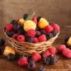 Raspberry Plant Variety Pack: Heritage, Carolina, Joan J, Anne - 4 Bare Root Plants
