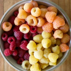 Raspberry Plant Variety Pack: Heritage, Carolina, Joan J, Anne - 4 Bare Root Plants