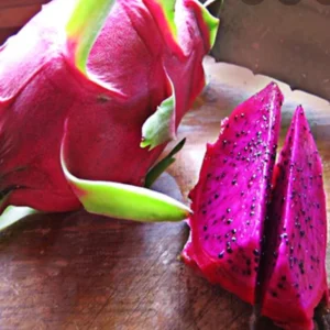 Red Dragon Fruit American Beauty Plant - Live Pitaya Cactus - 1-2 Ft - 6 Inch Pot