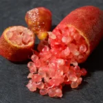 Red Finger Lime Tree - Premium Grafted Live Plant - 1 to 2 Feet - Exotic Citrus - Not Ship CA