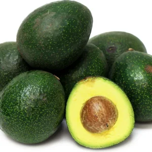 Reed Avocado Tree Grafted 1 ft Tall - 6 inch Pot Live Plant