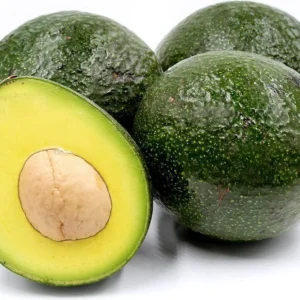 Reed Avocado Tree - Grafted Live Plant - 2-3 ft - 3 Gallon Pot