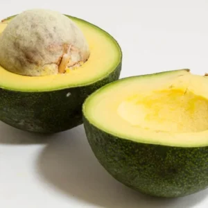 Reed Avocado Tree - Grafted Live Plant - 2-3 ft - 3 Gallon Pot