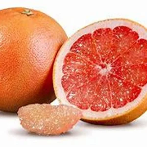 Ruby Red Grapefruit Tree - Live Plant 2+ Feet - Ships with Soil and Pot - Not Ship CA