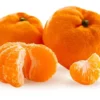 Satsuma Mandarin Tree - Grafted Citrus Tree 2 to 3 ft Tall