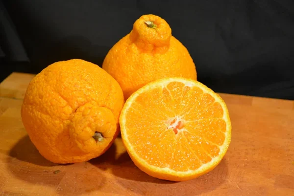 Shiranui Mandarin Tree - 1 Gallon Potted Citrus Tree - Easy-Care - Juicy Fruit - Not Ship CA