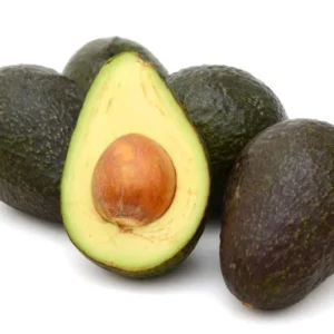 Sir Prize Avocado Tree - Grafted Tree 2 ft Tall in 6 Inch Pot