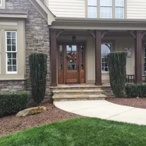 Sky Pencil Holly Plant 2-Pack - 6-12 Inch Tall Shrubs in 2.5