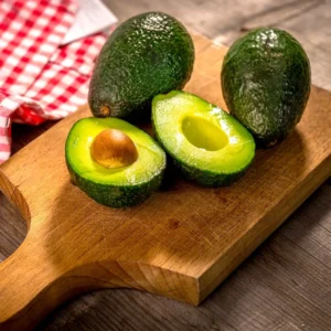 Avocado Tree - Grafted 1 ft Tree - Easy to Grow Fruit Tree