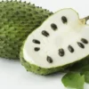 Soursop Tree - 1 Gallon Tropical Fruit Tree - 2 to 3 Feet Tall - Not Ship CA