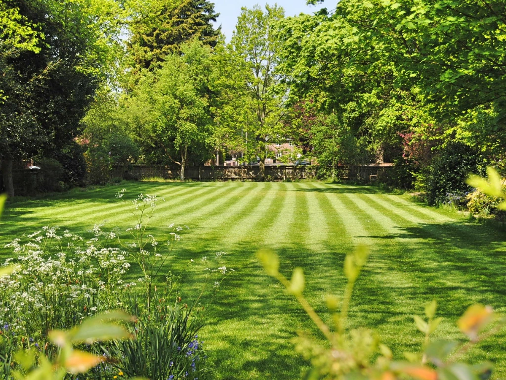 Summer Lawn Care Tips