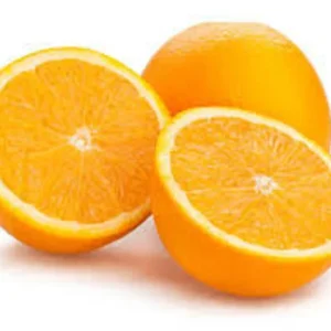 Valencia Orange Tree - Live Plant 2 Feet Tall in 1/2 Gallon Pot - Garden Ready - Not Ship CA