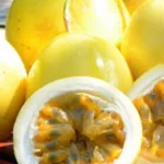 Yellow Passion Fruit Vine - Sweet Granadilla Plant - 1-2 ft Tall - 6 Inch Pot