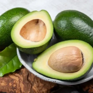 Zutano Avocado Tree - Grafted Fruit Tree - 2 Feet Tall - 6 Inch Pot