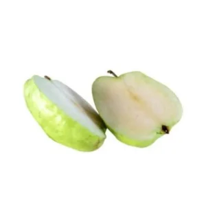 Indonesia White Seedless Guava Tree - 3 Feet Tall Live Plant in 3-Gallon Pot - Not Ship CA