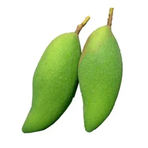 Xoai Tuong Mango Tree - Grafted Fruit Tree - 1 ft Tall - 6