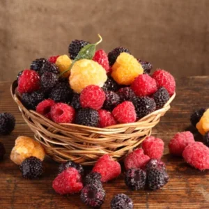 Raspberry Plant Variety Pack: Heritage, Carolina, Joan J, Anne - 4 Bare Root Plants