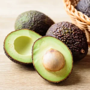 Avocado Tree - Grafted Plant 1 Feet Tall - Ships in Bag