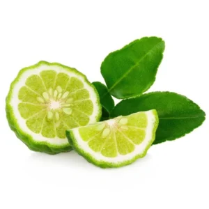 Kaffir Lime Tree - Live Grafted Citrus Plant - 2 to 3 Feet - For Indoor/Outdoor Gardening - Fragrant Leaves - Not Ship CA