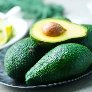 Edranol Avocado Tree - 1 ft Grafted Fruit Tree - Ships in Bag
