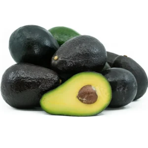 Sir Prize Avocado Tree - Grafted Tree 2 ft Tall in 6 Inch Pot