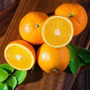 Vernia Orange Tree - Live Grafted - 2 to 3 Ft Tall - Potted Orange Tree - Not Ship CA