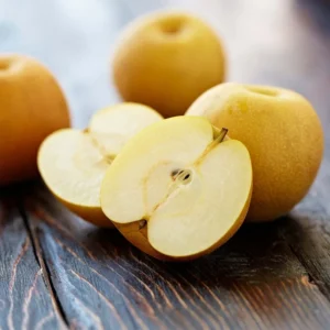 Asian Pear Tree Pyrus Serotina Plant - 2-3 ft Tall Fruit Tree