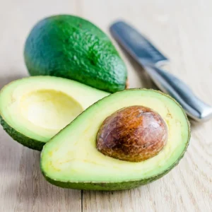 Edranol Avocado Tree - 1 ft Grafted Fruit Tree - Ships in Bag