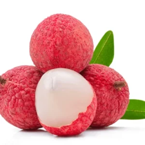 Lychee Tree Sweetheart - 3 Gal Fruit Tree - Free Shipping - Exotic Garden Tree - Not Ship CA