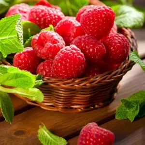 Caroline Raspberry Plant 3-Pack Dormant Root Stock - Red Raspberry Bush