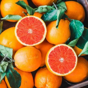 Red Navel Orange Tree - Live Grafted Tree - 2 Feet Tall - 1 Gallon Pot - Fast Shipping - Not Ship CA